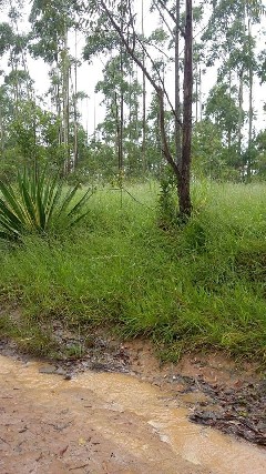 Foto 4 - Terrenos incriveis 1000 m venha conferir