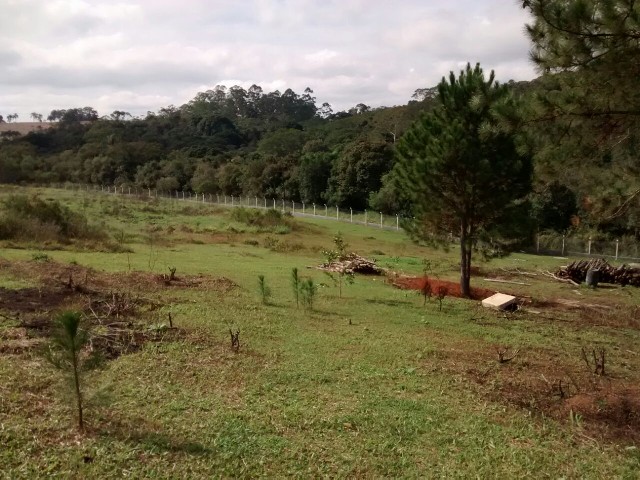 Foto 4 - Terrenos incriveis 1000 m venha conferir