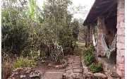 Foto 2 - Anncio 45-577434